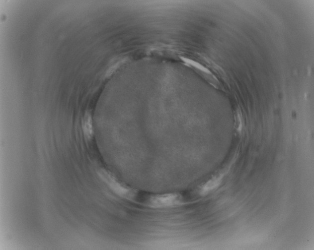 X0000070410479200606302041