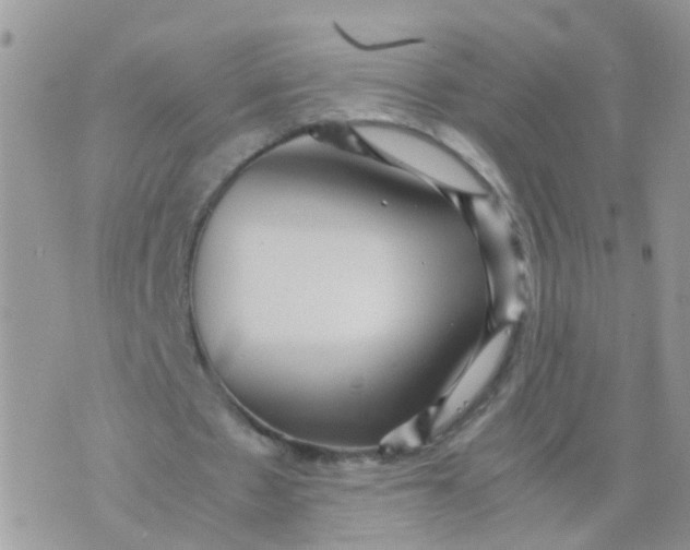 X0000070410481200606302040