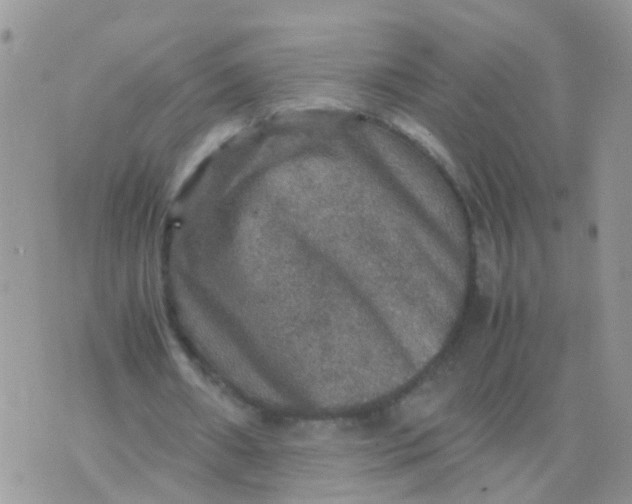 X0000070410482200606302040