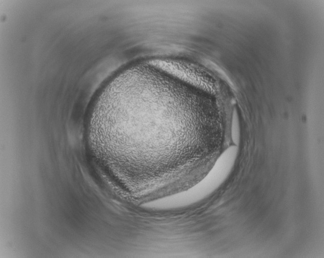 X0000070410483200606302040