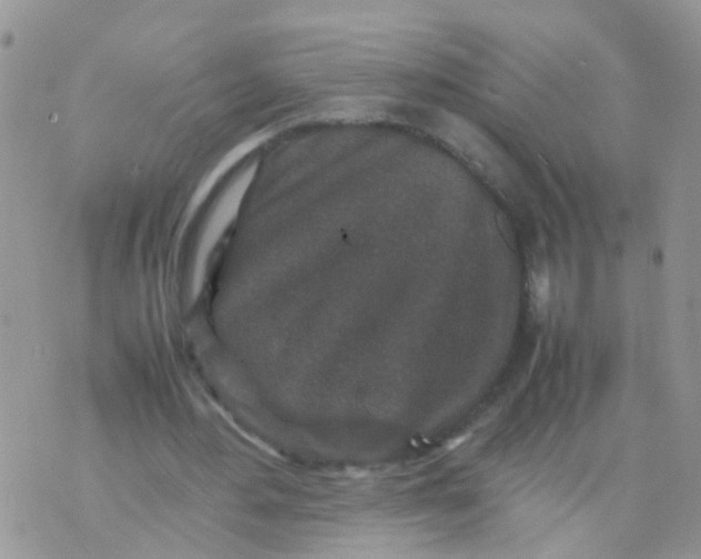 X0000070410484200606302040