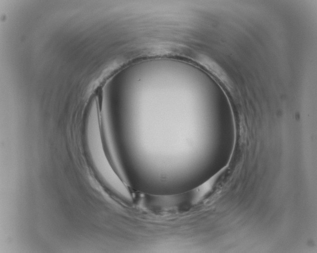 X0000070410485200606302040