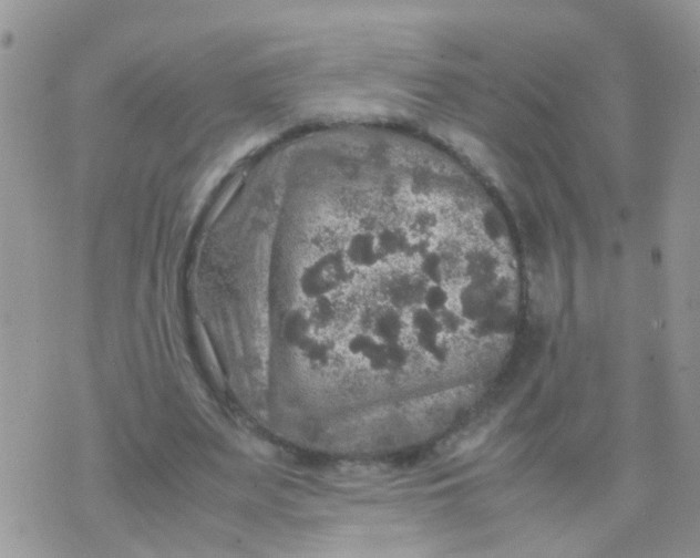 X0000070410487200606302040