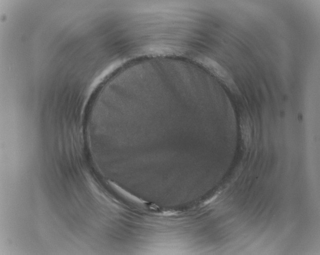 X0000070410488200606302040