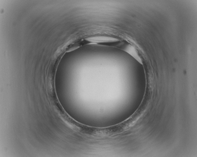 X0000070410489200606302040