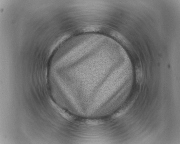 X0000070410490200606302040