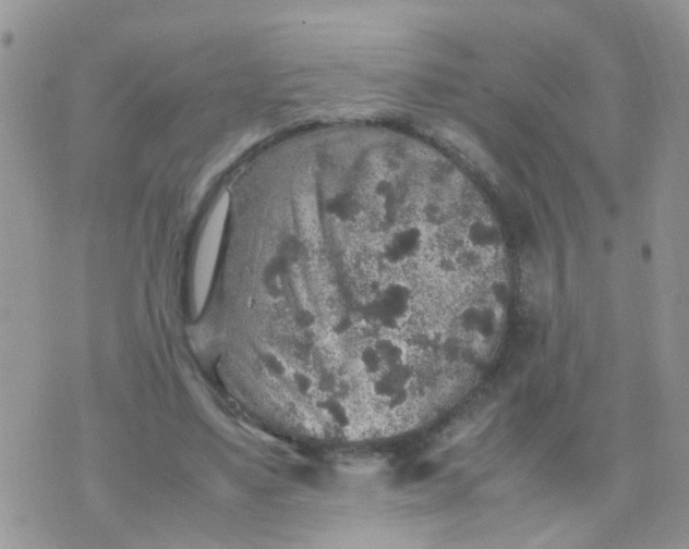 X0000070410491200606302040