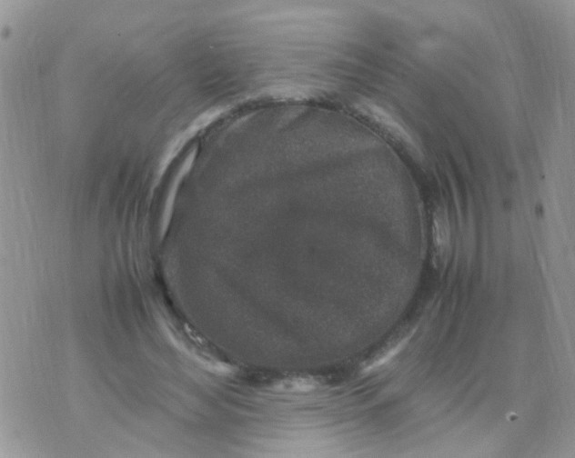 X0000070410492200606302040