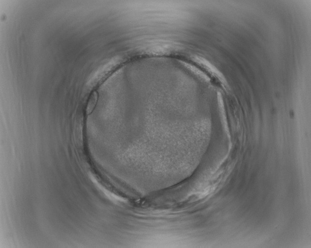 X0000070410493200606302040