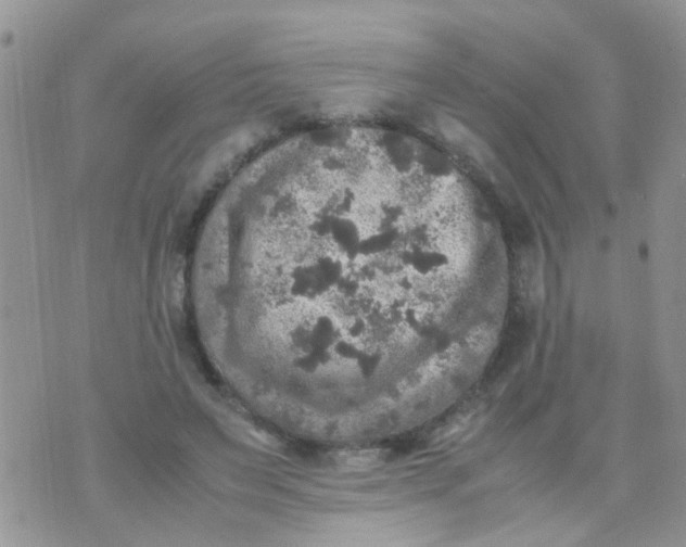 X0000070410495200606302040