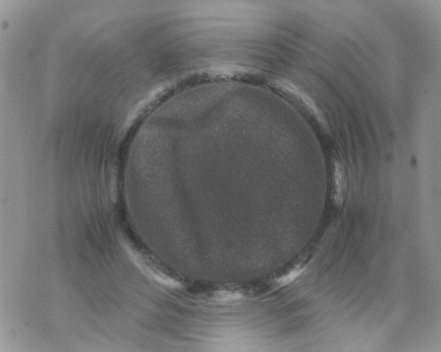 X0000070410496200606302040