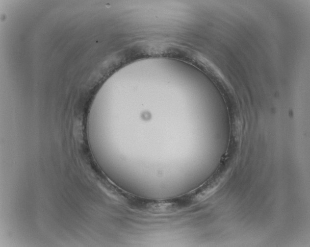 X0000070410497200606302040