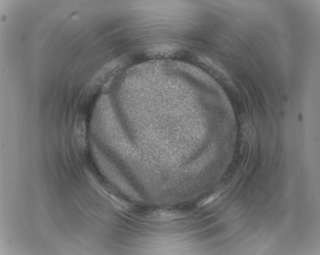 X0000070410498200606302040