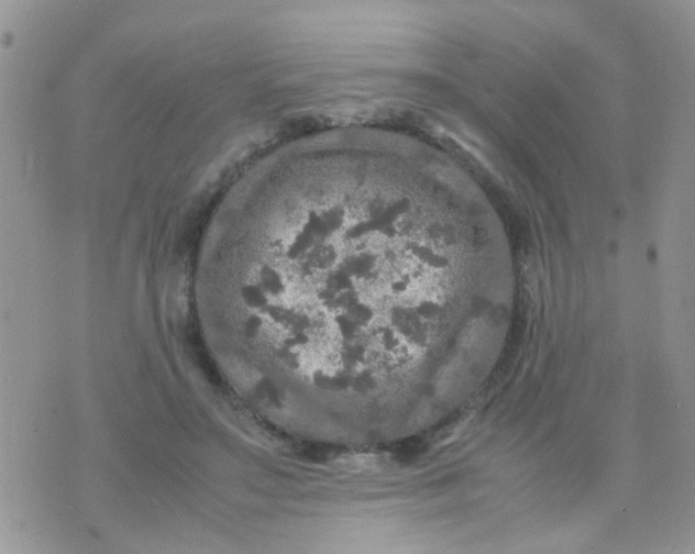 X0000070410499200606302040