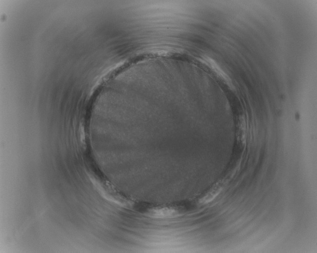 X0000070410500200606302040