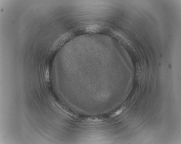 X0000070410502200606302040