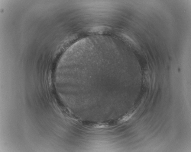 X0000070410504200606302040