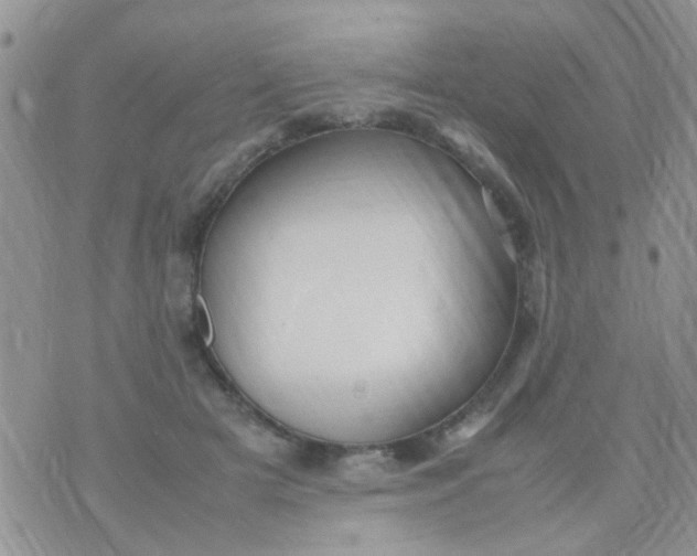 X0000070410505200606302040