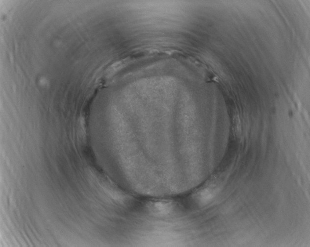 X0000070410506200606302040