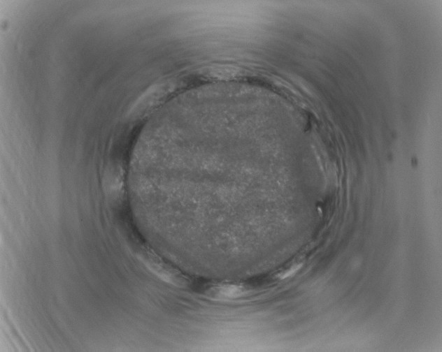 X0000070410507200606302040