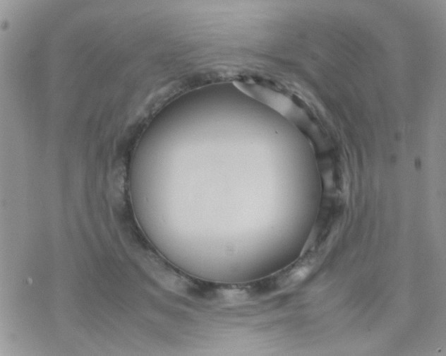 X0000070410509200606302039