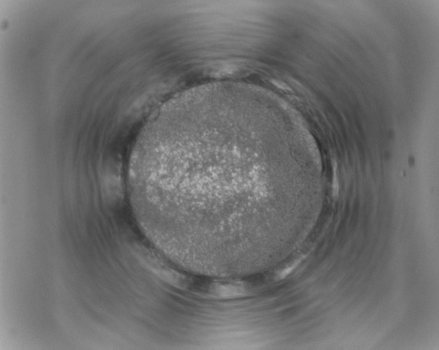 X0000070410510200606302039