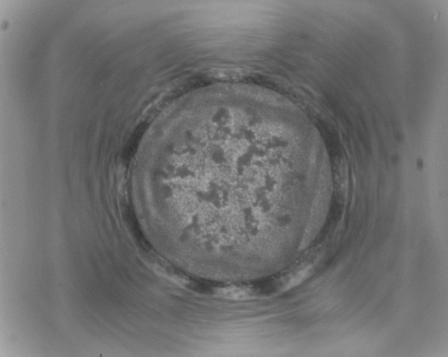 X0000070410511200606302039