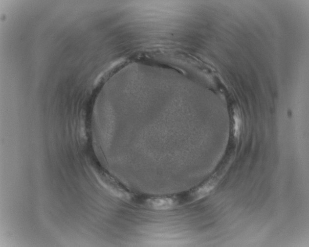 X0000070410512200606302039