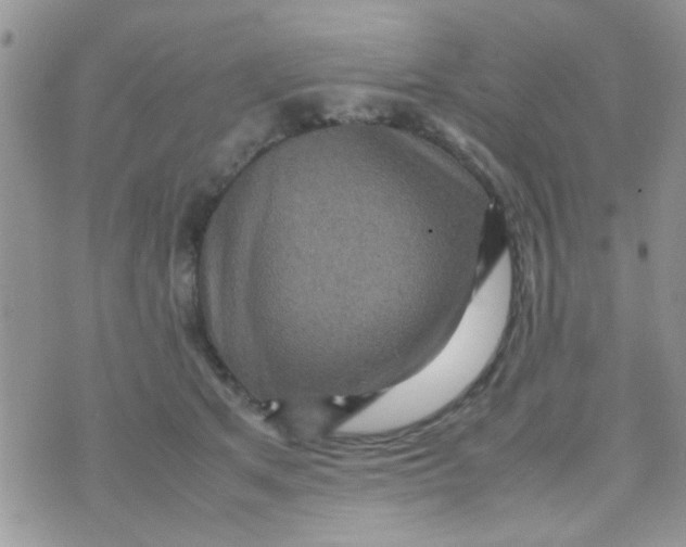 X0000070410513200606302039