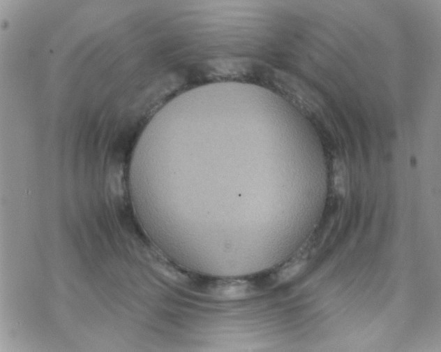 X0000070410514200606302039