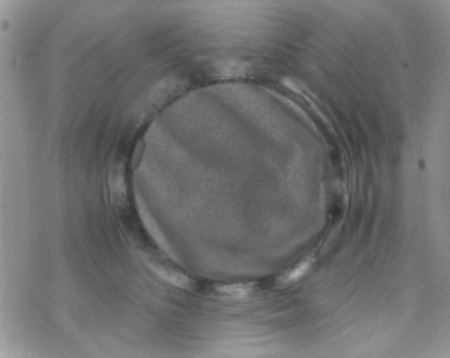 X0000070410516200606302039