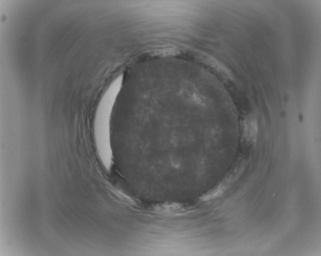 X0000070410517200606302039