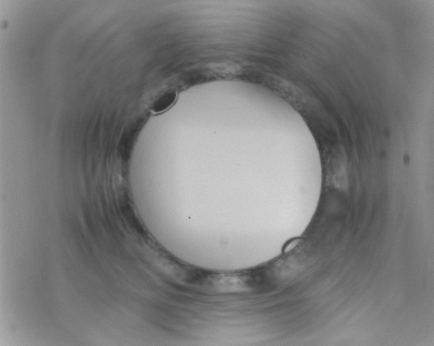 X0000070410518200606302039