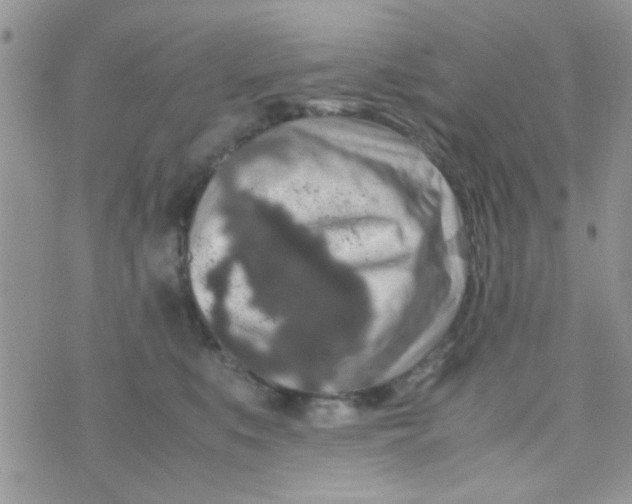 X0000070410519200606302039