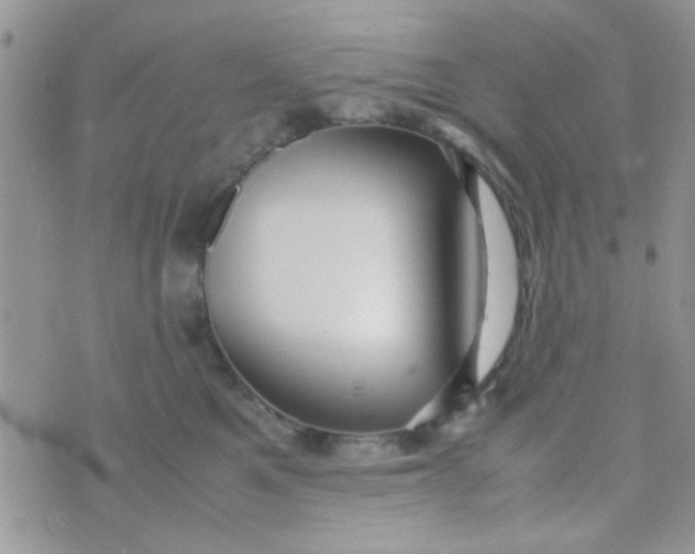 X0000070410521200606302039