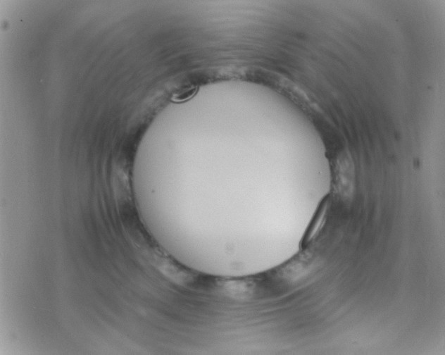 X0000070410522200606302039