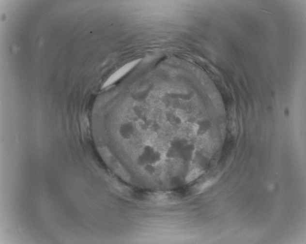 X0000070410523200606302039