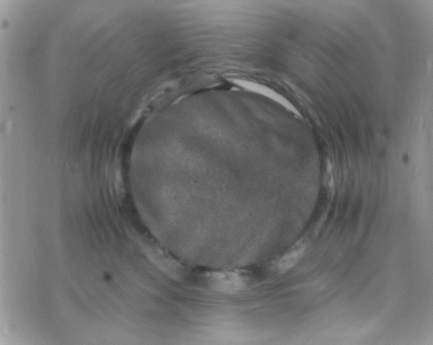 X0000070410524200606302039