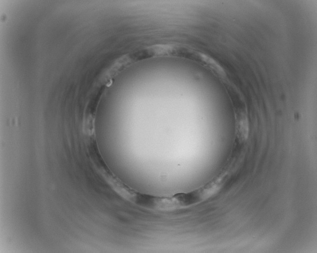 X0000070410525200606302039