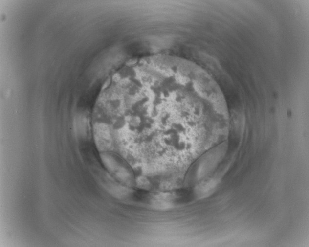 X0000070410527200606302039