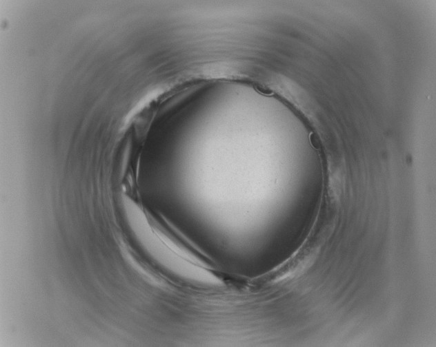 X0000070410530200606302038