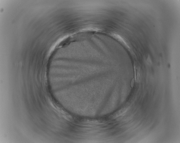 X0000070410531200606302038