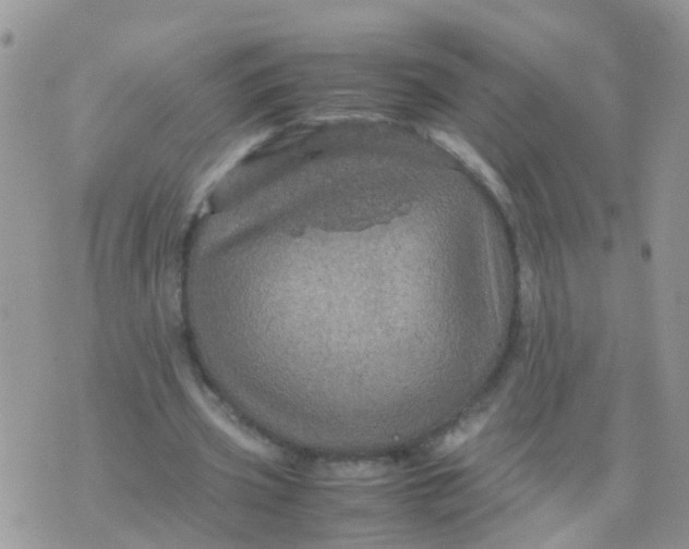 X0000070410533200606302038