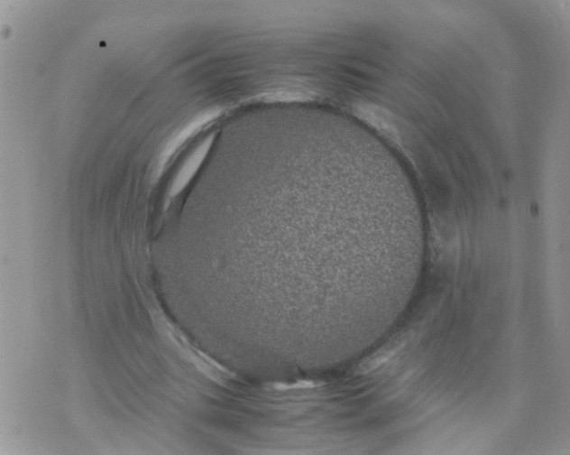 X0000070410535200606302039