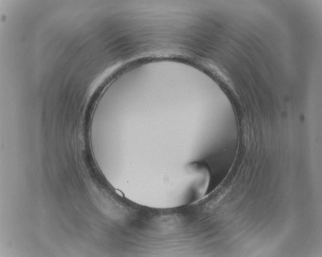 X0000070410536200606302039