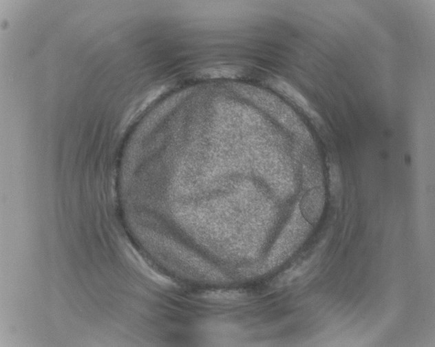 X0000070410537200606302039