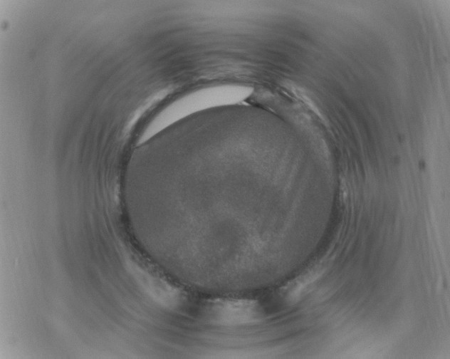 X0000070410539200606302039