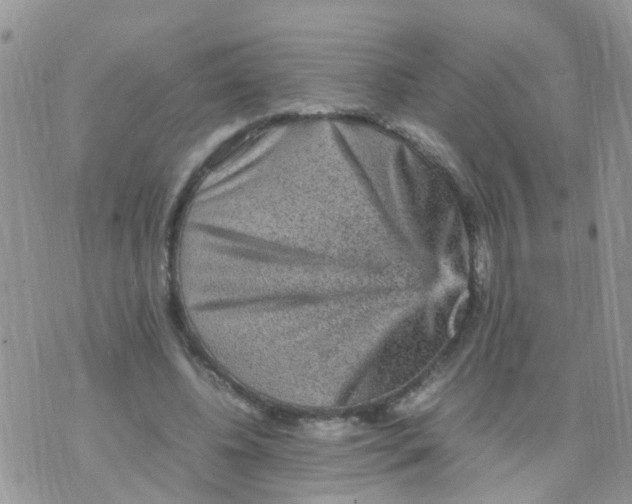 X0000070410540200606302039