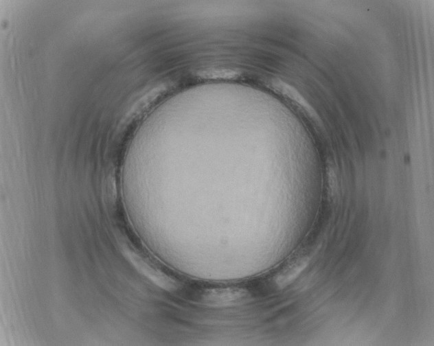 X0000070410541200606302039