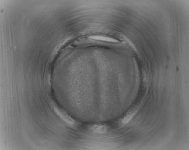 X0000070410542200606302039